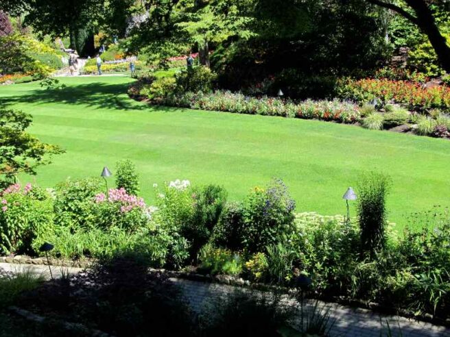 manicured lawn in a house