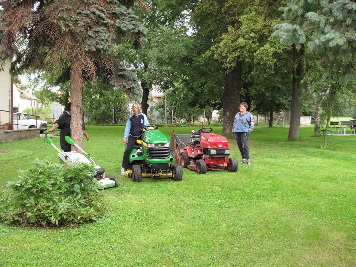 people standing near lawn mower tractor in a lawn