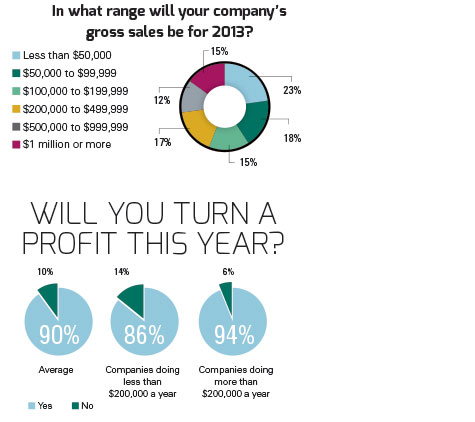 infographic for annual profit