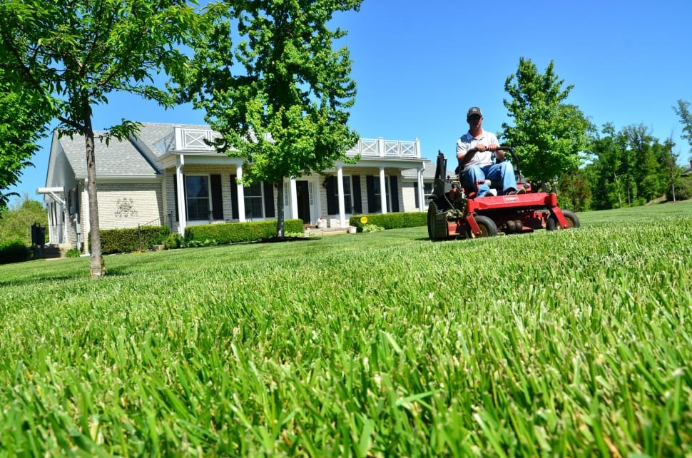 lawn mower in a lawn