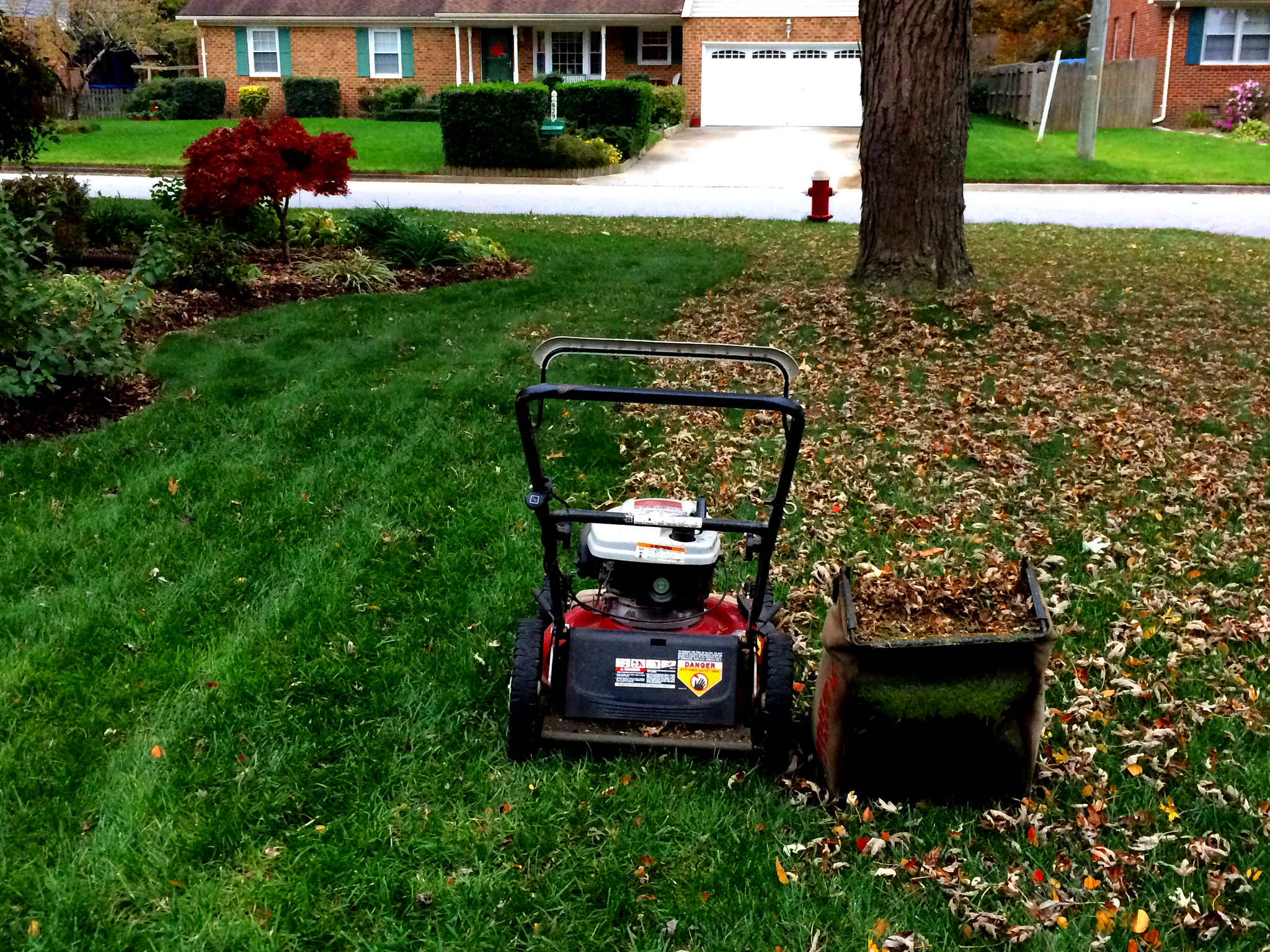 mowing-up-leaves