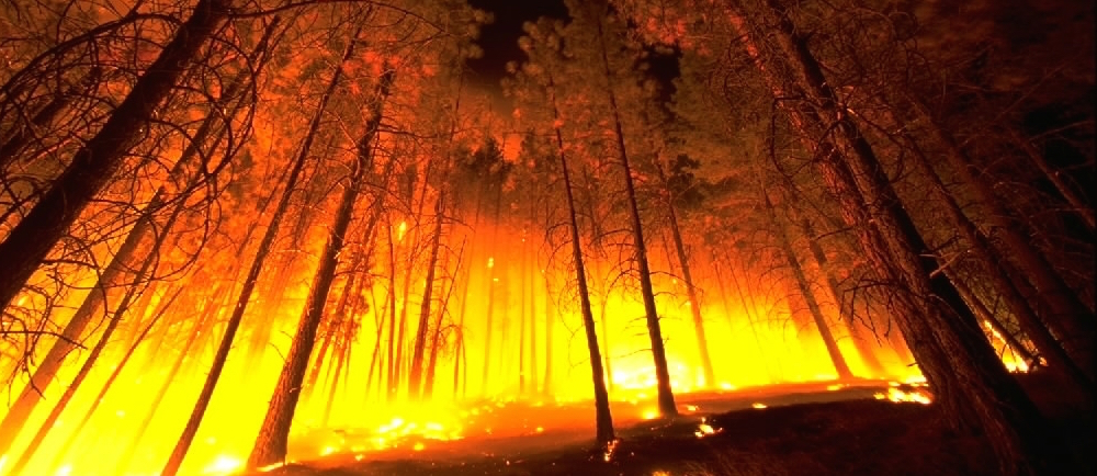 montana wildfire