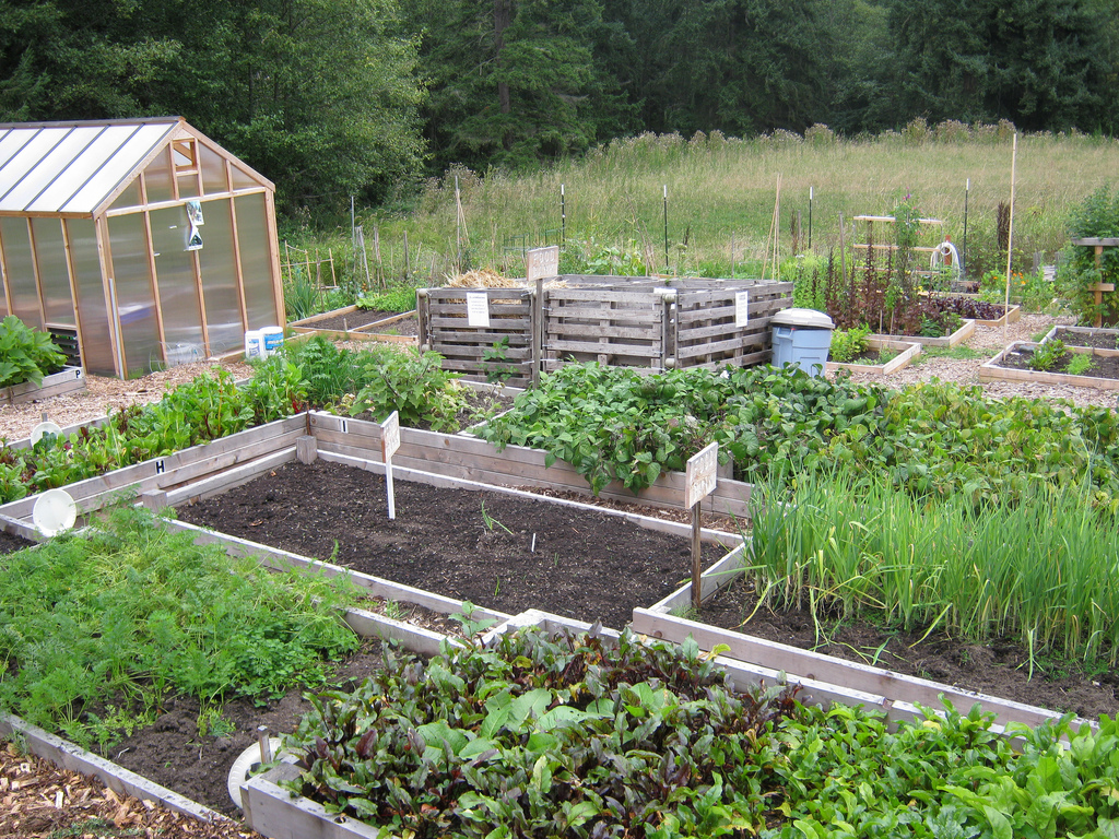 community gardens
