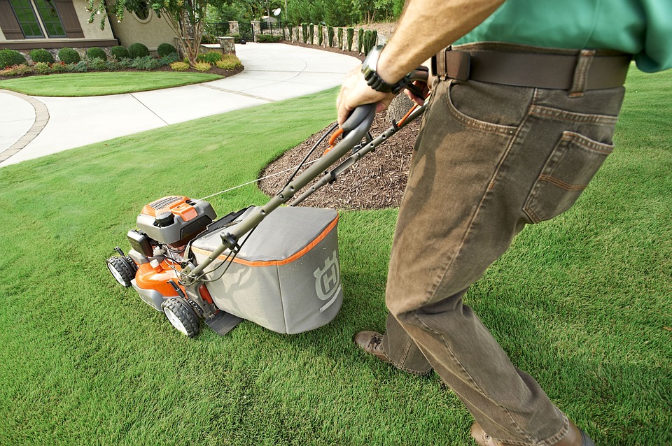 person mowing a lawn