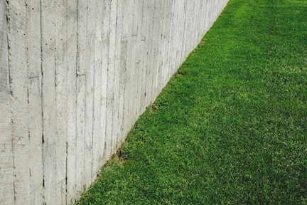 Lawn next to concrete wall
