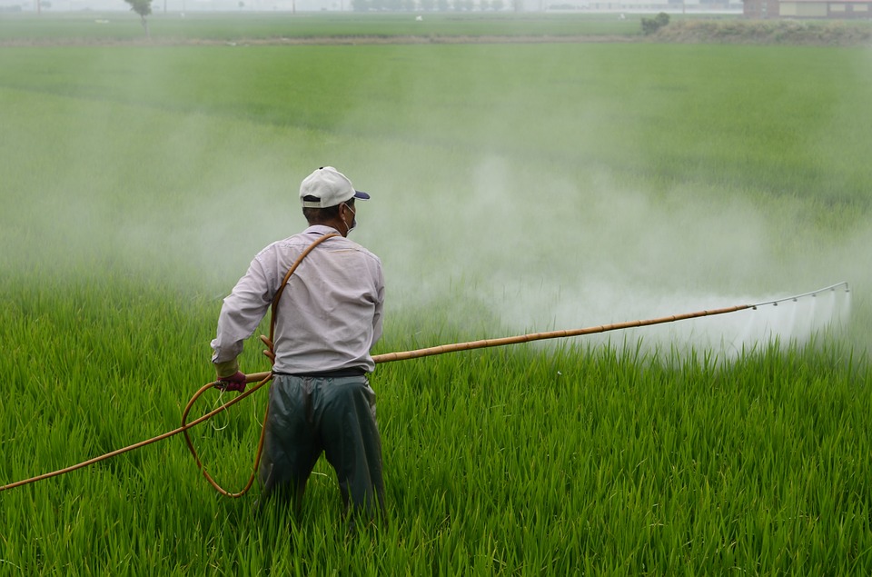 person spraying herbicide