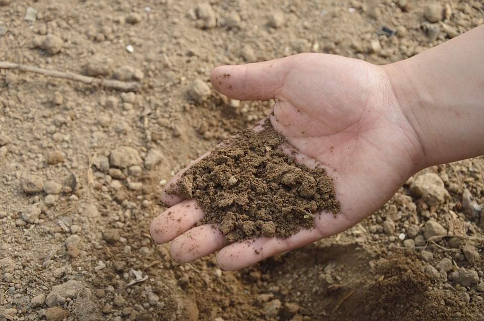 soil testing