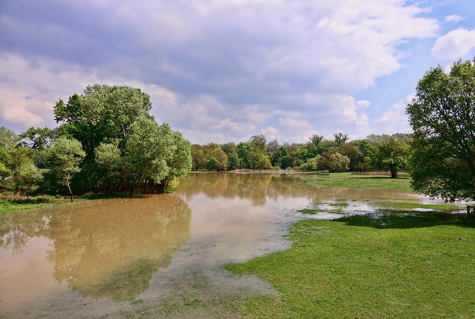 rain water floor in a park