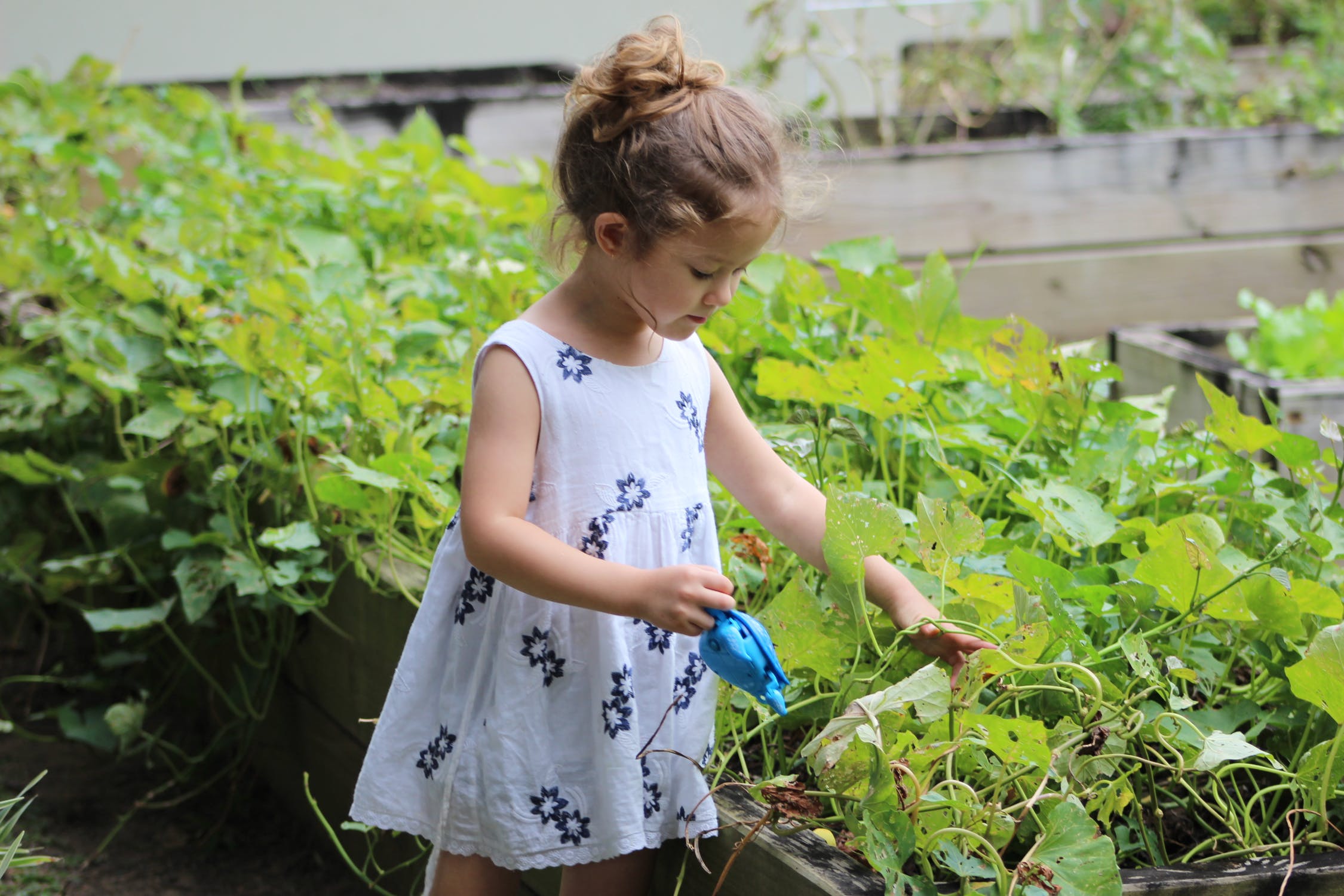 kids in a garden
