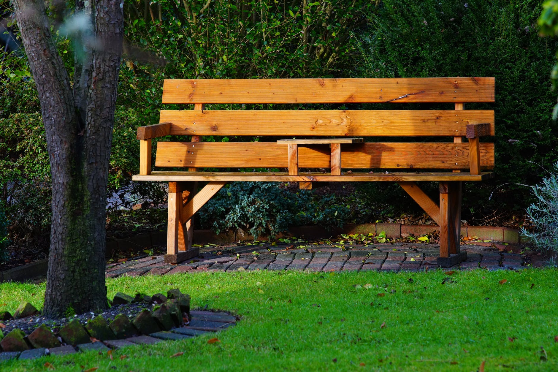 A bench under tree shade