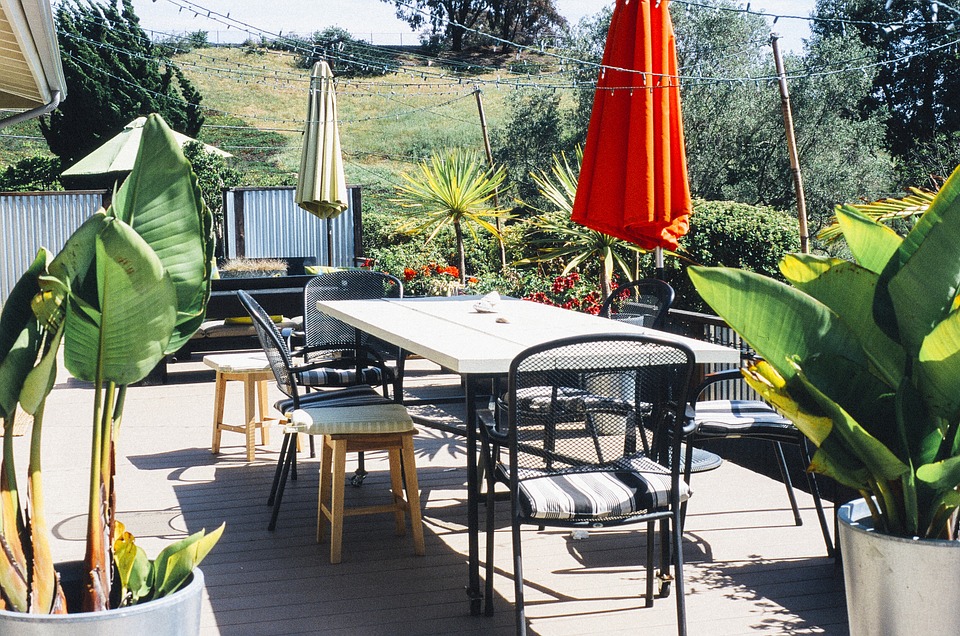 Sunny backyard