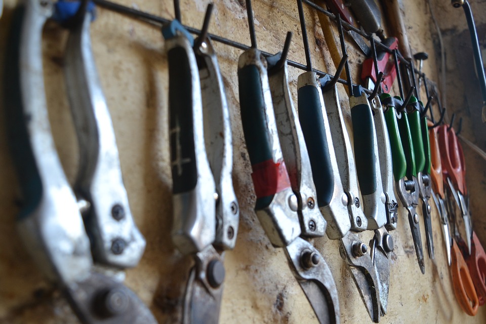 pruning tools