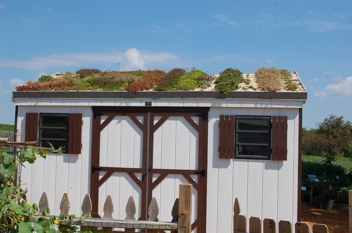 green roof of a house