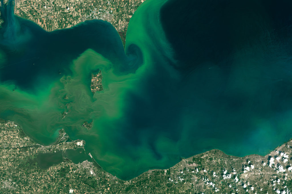 NASA image distributed by the National Oceanic and Atmospheric Administration (NOAA) showing the 2015 algal outbreak in Lake Erie. 