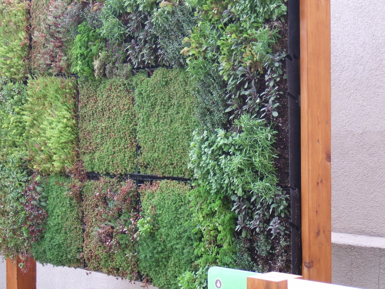 Vertical garden