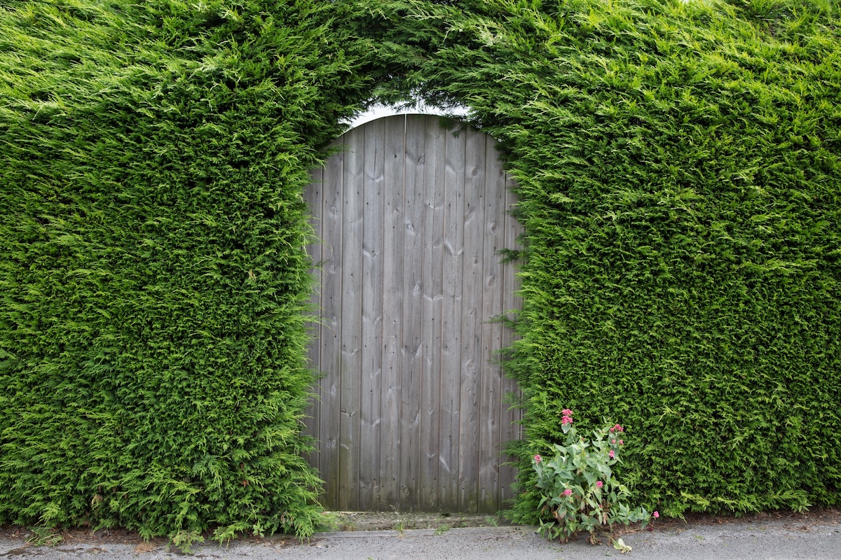 garden gate of a house