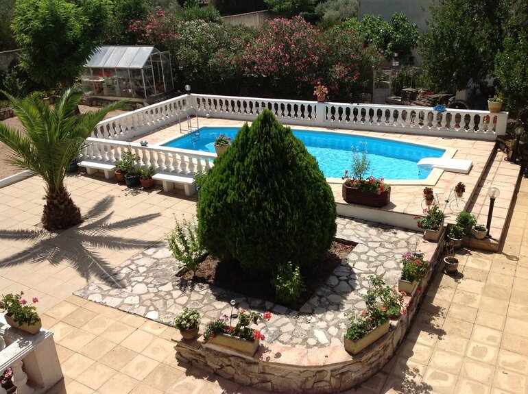 Plants in containers around a pool