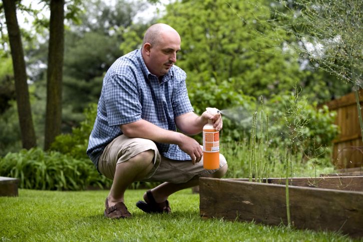 man spraying insecticide