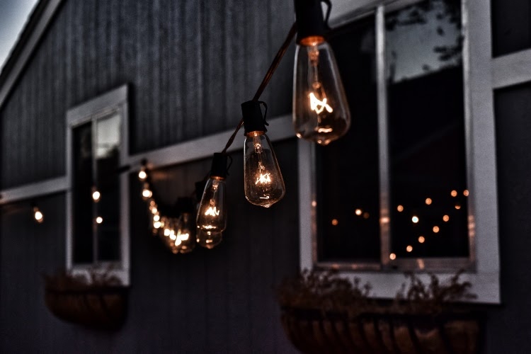 solar string lights hanging along a back wall with windows and hanging planters