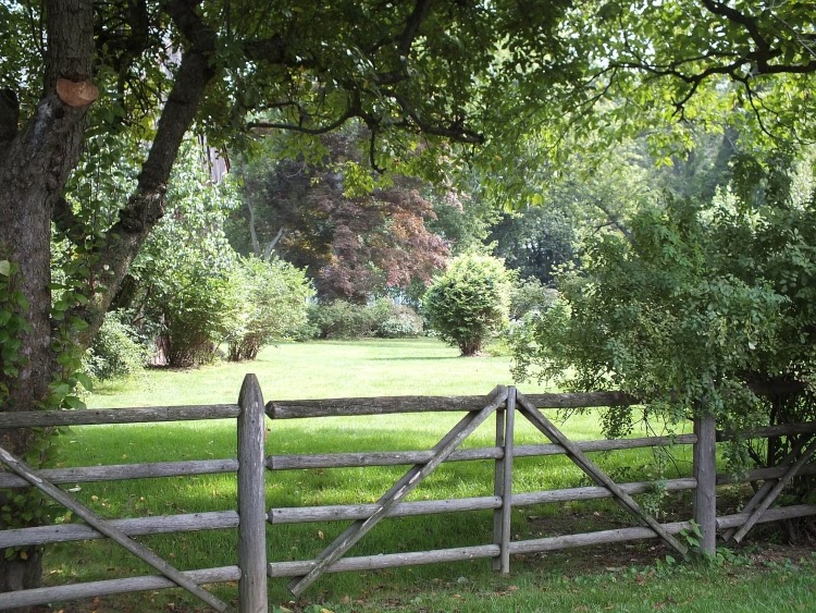 Rustic split-rail fence underneath trees across from large, open lawn space