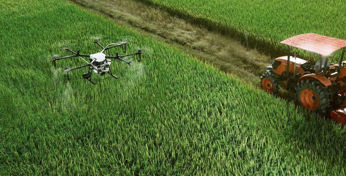 agricultural field