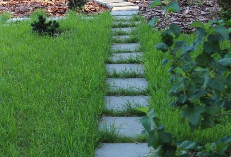paver walkway in a yard