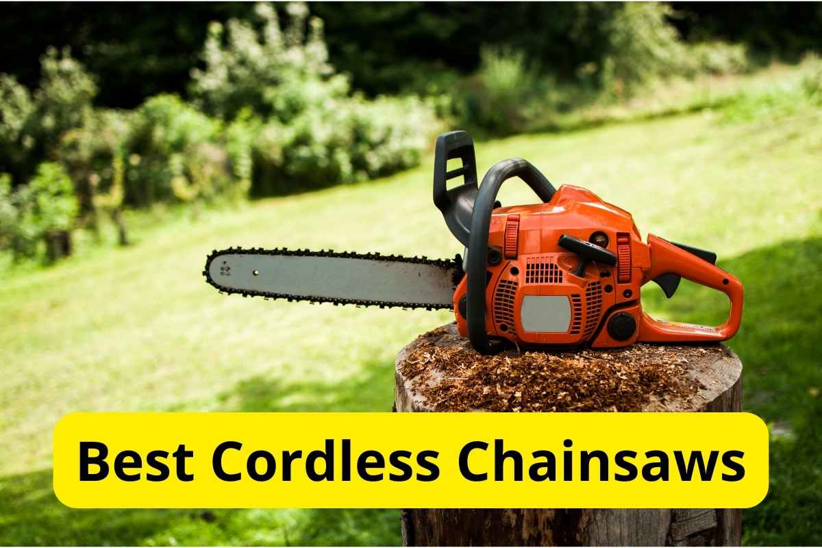 chainsaw on a wooden trunk with text overlay on it