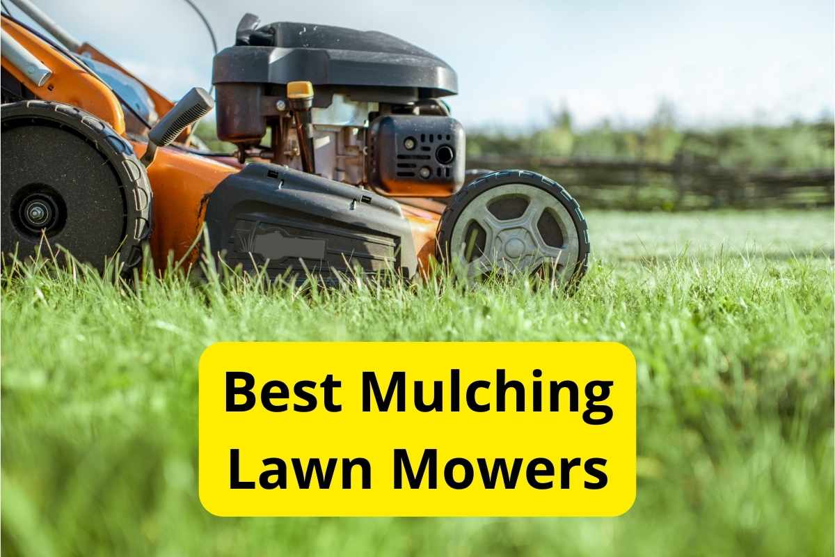 lawn mower cutting grass with text overlay on it