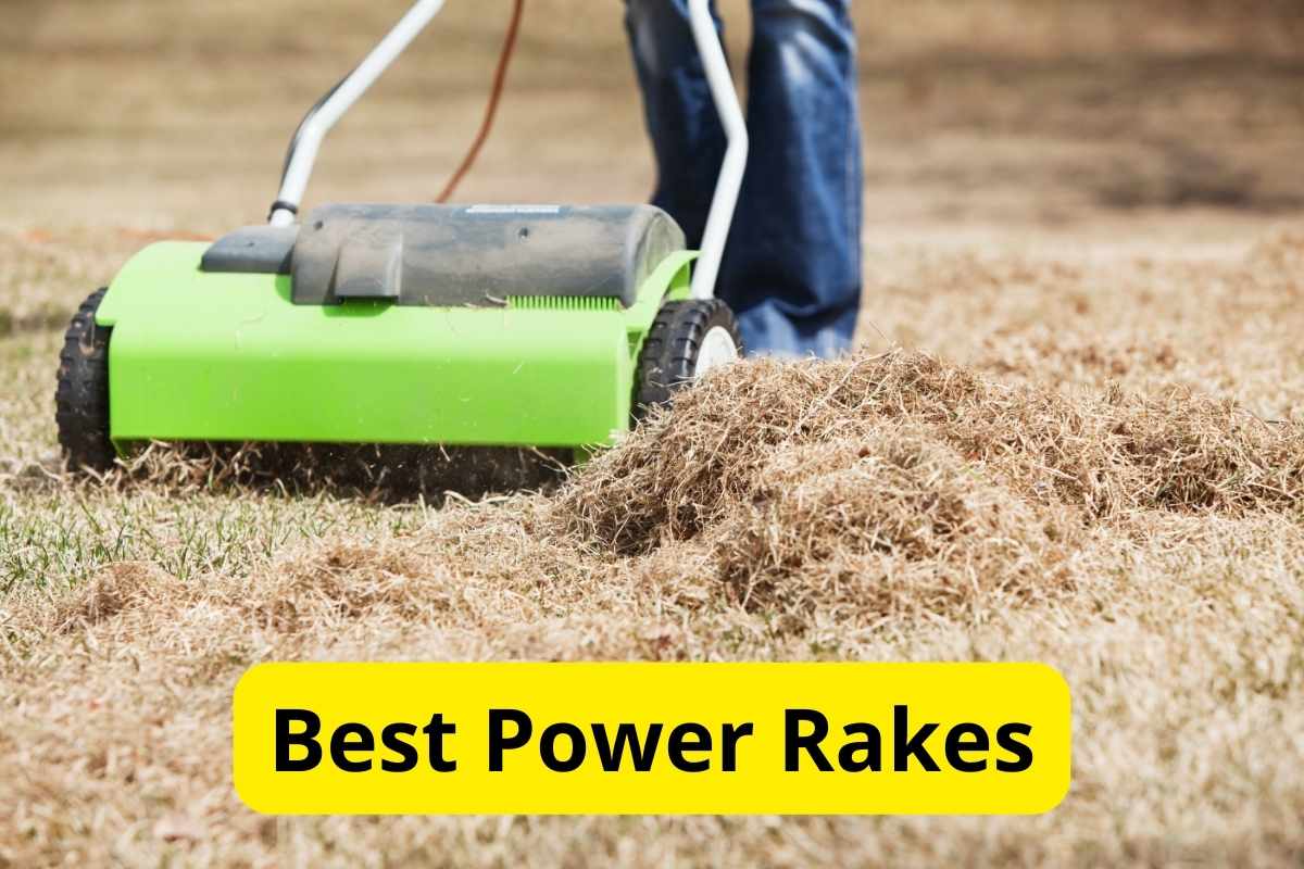 power rake dethatching grass with text overlay on it