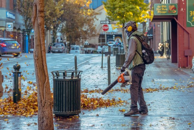 Pricing Guide: How Much Does a Leaf Blower Cost?