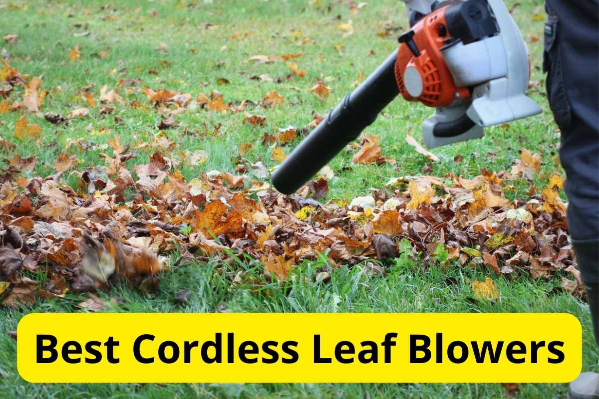 worker cleaning leaves with a blower with text overlay on it