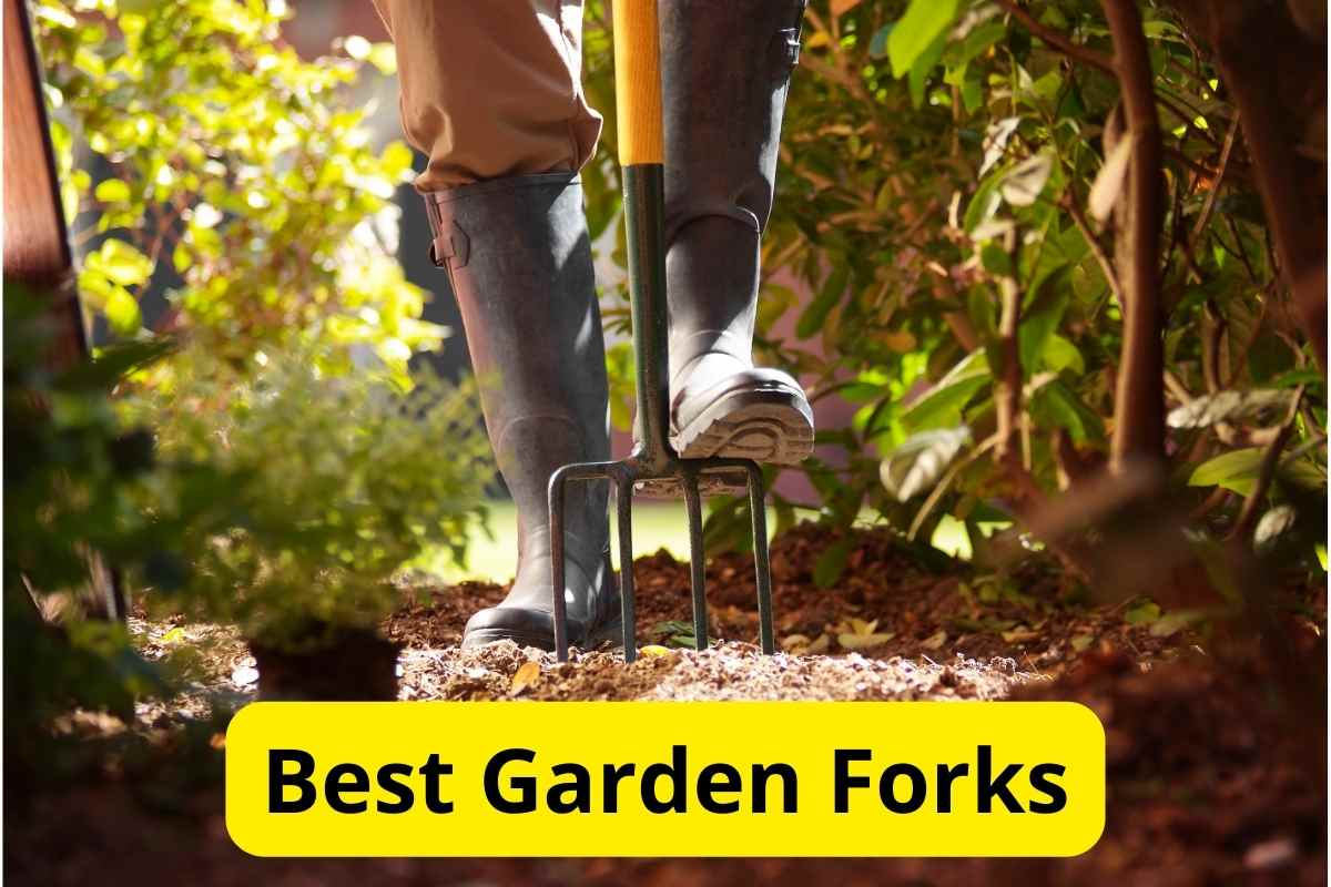 garden digging fork with text overlay on it