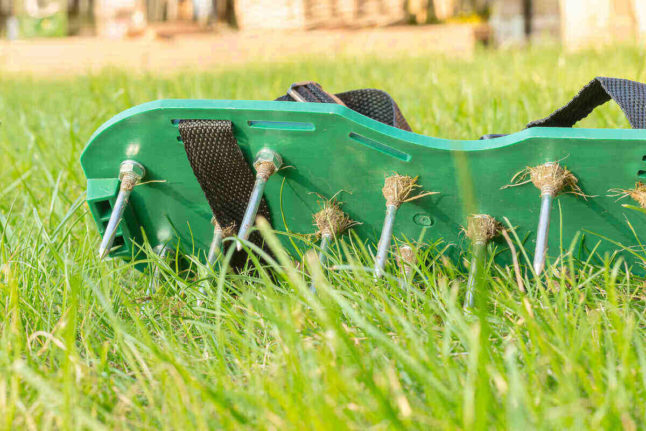 How to Aerate Your Lawn in Arkansas