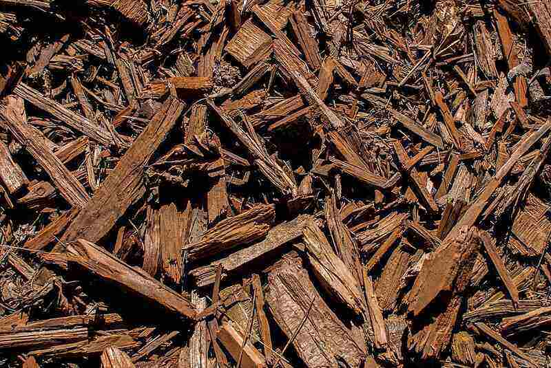 wood mulch