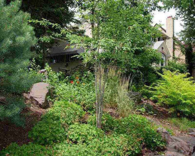 plant your slope