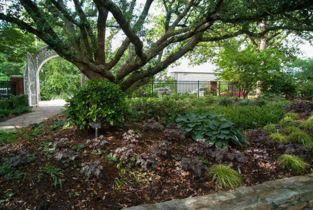 shady garden in front of a house