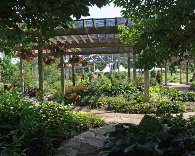 shade garden in a house