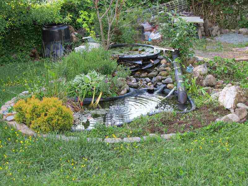 Rock Garden