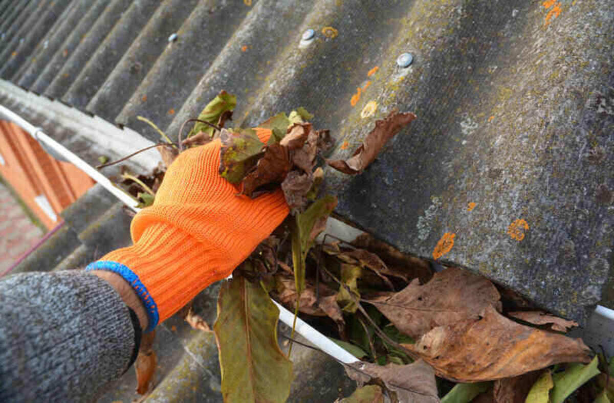 Clogged gutter