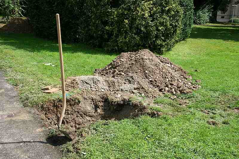 A hole being dug in a lawn