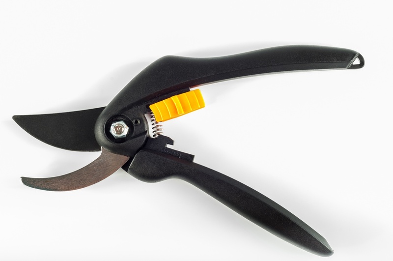 Hand Pruner