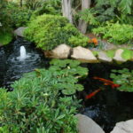 How Much Does a Koi Pond Cost in 2025?