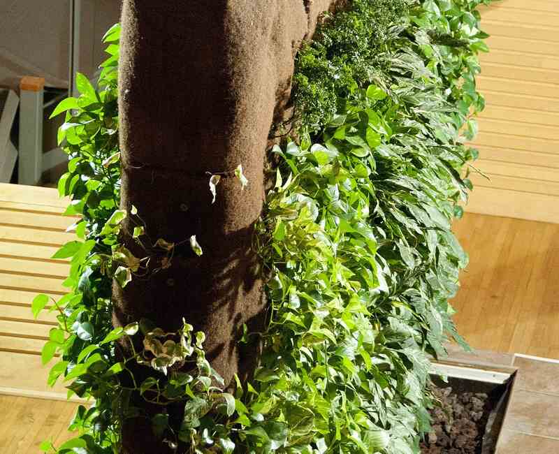 Livingwall