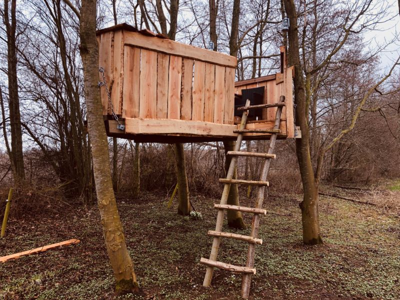 Wooden House on tree