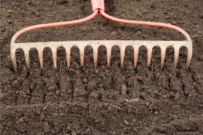 rake on soil