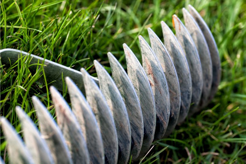 blades of a rake