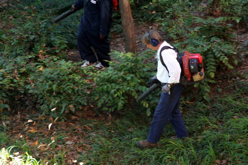 person blowing leaves in a garden