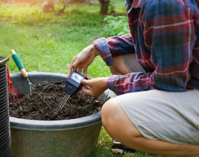 Guide to Lawn Fertilization in Kentucky