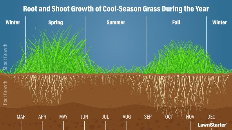 A picture showing growth of cool season grass throughout the year