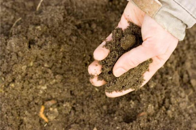 How to Xeriscape in Colorado